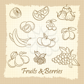 Popular hand drawn fruits and berries on vintage notebook page. Vector illustration