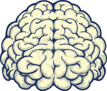 Human brain hand drawn icon on white background. Vector illustration