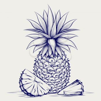 Ball pen pineapple isolated on grey background. Sketch pineapple vector illustration
