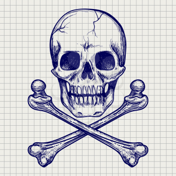 Ball pen sketch of skull and cross of bones on notebook page. Vector illustration