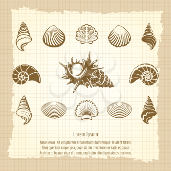 Vintage sea shell silhouettes set on notebook page. Ocean retro poster vector illustration