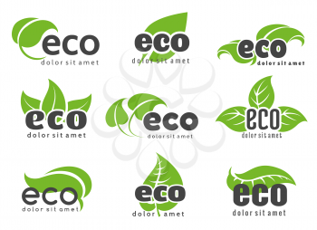 Eco and nature logo labels with green leaves isolated on white background. Vector illustration