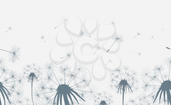 Dandelion field seamless horizontal background. Hand drawn dandelions grass flowers with blowing seeds. Vector illustration