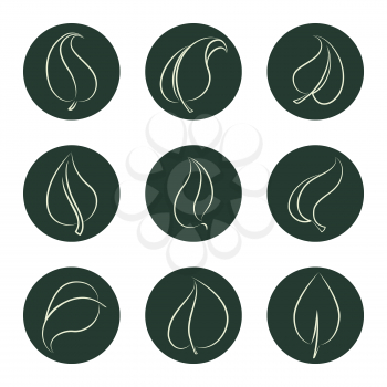 Eco icon set vector illustration. Outline leaves icons on green backgrop