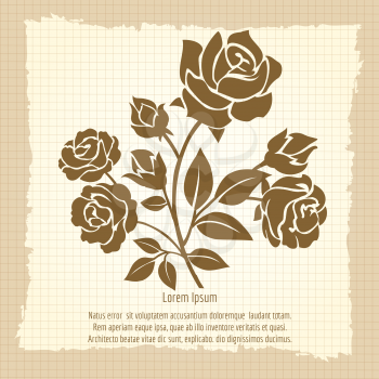 Vintage poster with bush of roses, vector illustration