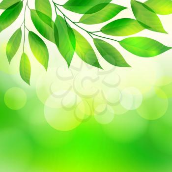 Green leaves on the bokeh background, vector illustration