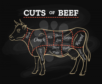 Cow meat steak diagram. Cow butcher cut beef chalkboard scheme for restaurant menu poster, vector illustration