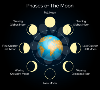 Phases of the moon vector illustration. Earth and lunar phase set with shadow and moonlight infographic