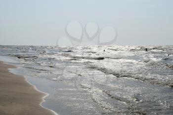 The coast of the Sea of Azov. Beach Sea summer months. Evening time.