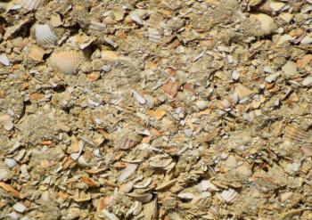 Background from a shell rock in cement. The wall put from slag stone.