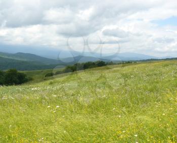 Landscape. The blossoming meadows on slopes of hills.