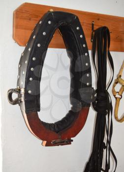 Elements of harness horses, hanging on a hanger.