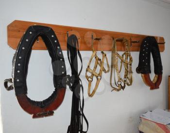 Elements of harness horses, hanging on a hanger.