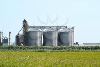 Plant for the drying and storage of grain. Rice plant in the middle of fields.