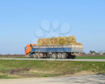 Truck carrying hay in his body. Making hay for the winter