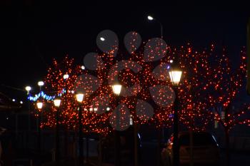 The branches of street trees, adorned with red lights.