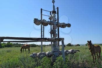 Equipment of an oil well. Shutoff valves and service equipment.
