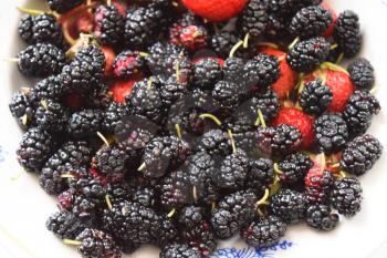 Mulberry with strawberries on a plate. Macro fruit.