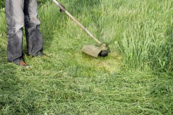 Mowing green grass using a fishing line trimmer. Application trimmers.