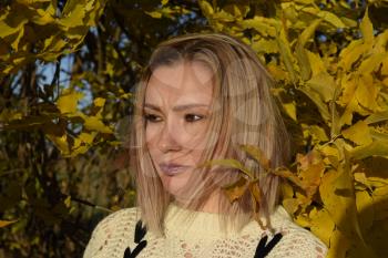 Girl on a background of yellow leaves of autumn trees. Autumn photo session