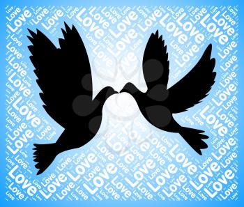 Love Doves Representing Adoration Devotion And Affection