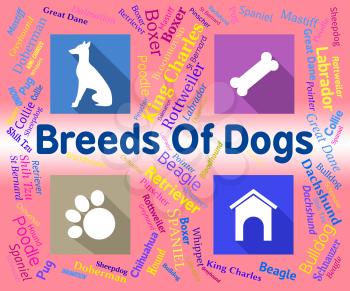 Breeds Of Dogs Indicating Canine Doggy And Doggie