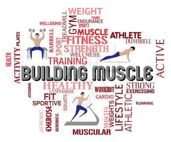 Building Muscle Showing Weight Training In Gym