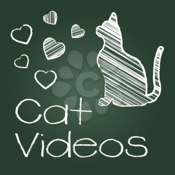 Cat Videos Showing Audio Visual And Cats