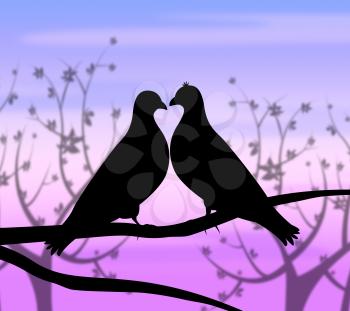 Love Birds Meaning Compassionate Romance And Fondness