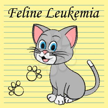 Feline Leukemia Meaning Bone Marrow And Kitten Cancer