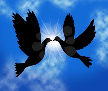 Peace Doves Meaning Birds In Flight And Love Not War