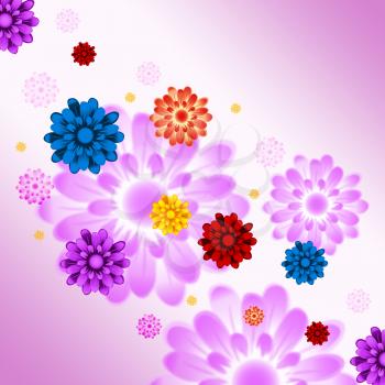 Colorful Flowers Background Meaning Plants And Gardening
