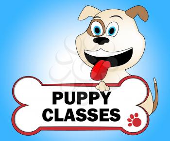 Puppy Classes Meaning Educated Classrooms And Pets