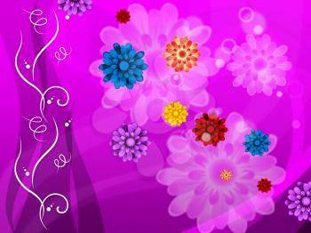 Purple Floral Background Meaning Colorful Flowers And Petals 
