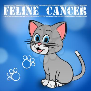 Feline Cancer Showing Malignant Growth And Malignancy
