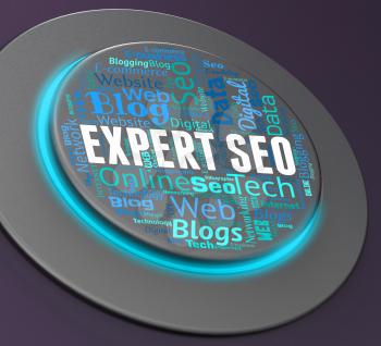 Expert Seo Indicating Search Engine And Web