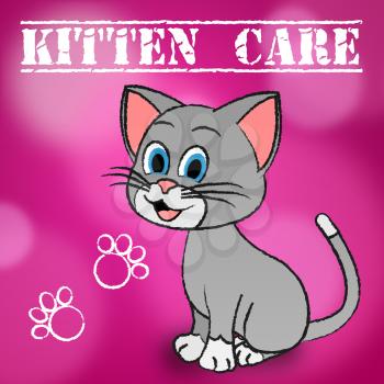 Kitten Care Representing Look After And Caring For Cats