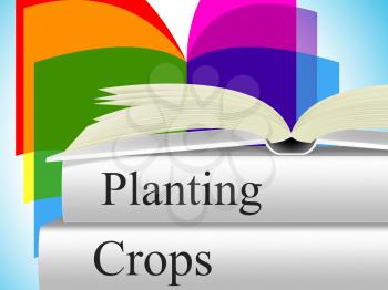Planting Crops Meaning Agribusiness Agriculture And Farming