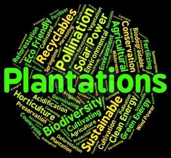 Plantations Word Indicating Farmsteads Hacienda And Estate