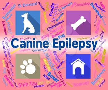 Canine Epilepsy Showing Pet Puppies And Fits