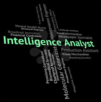 Intelligence Analyst Meaning Intellectual Capacity And Smartness
