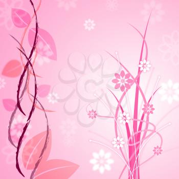 Background Floral Meaning Pink Backdrop And Flower