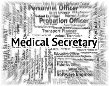 Medical Secretary Showing Personal Assistant And Administrator