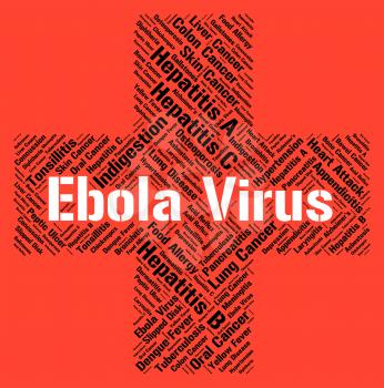 Ebola Virus Meaning Outbreak Diseases And Viral