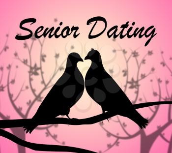 Senior Dating Indicating Love Net And Elderly