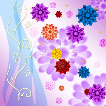 Colorful Flowers Background Meaning Blossoms And Beauty

