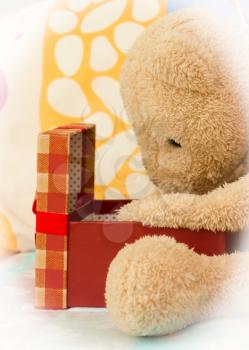 Teddy Bear Just Received A Gift Box