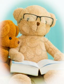 Teddy Bear Reading A Book For Education