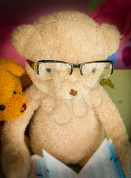 Teddy Bear Reading A Book Means Education