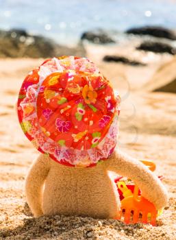 Teddy Bear With Hat Looking At The Sea